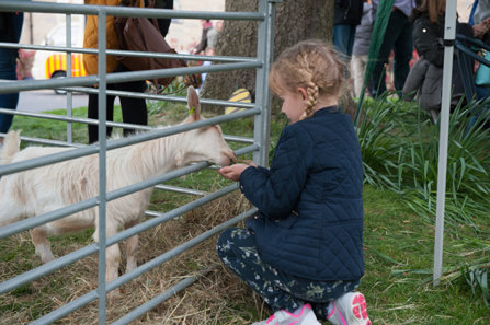Petting zoo at Saint Hill, part of the Easter celebration for the entire community.